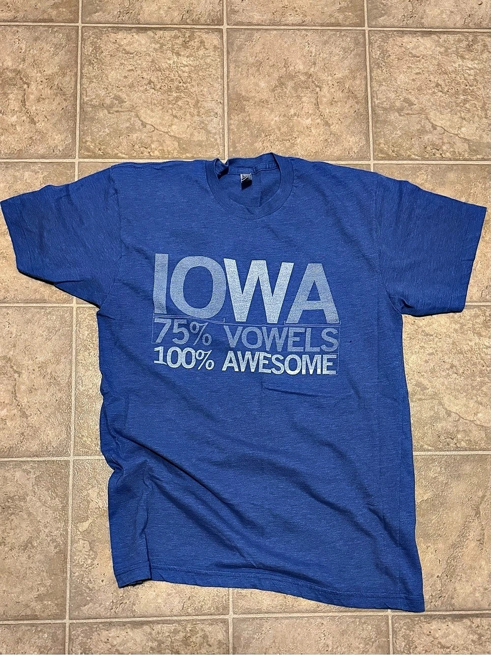 Raygun Iowa 75% Vowels 100% Awesome T-Shirt Blue
